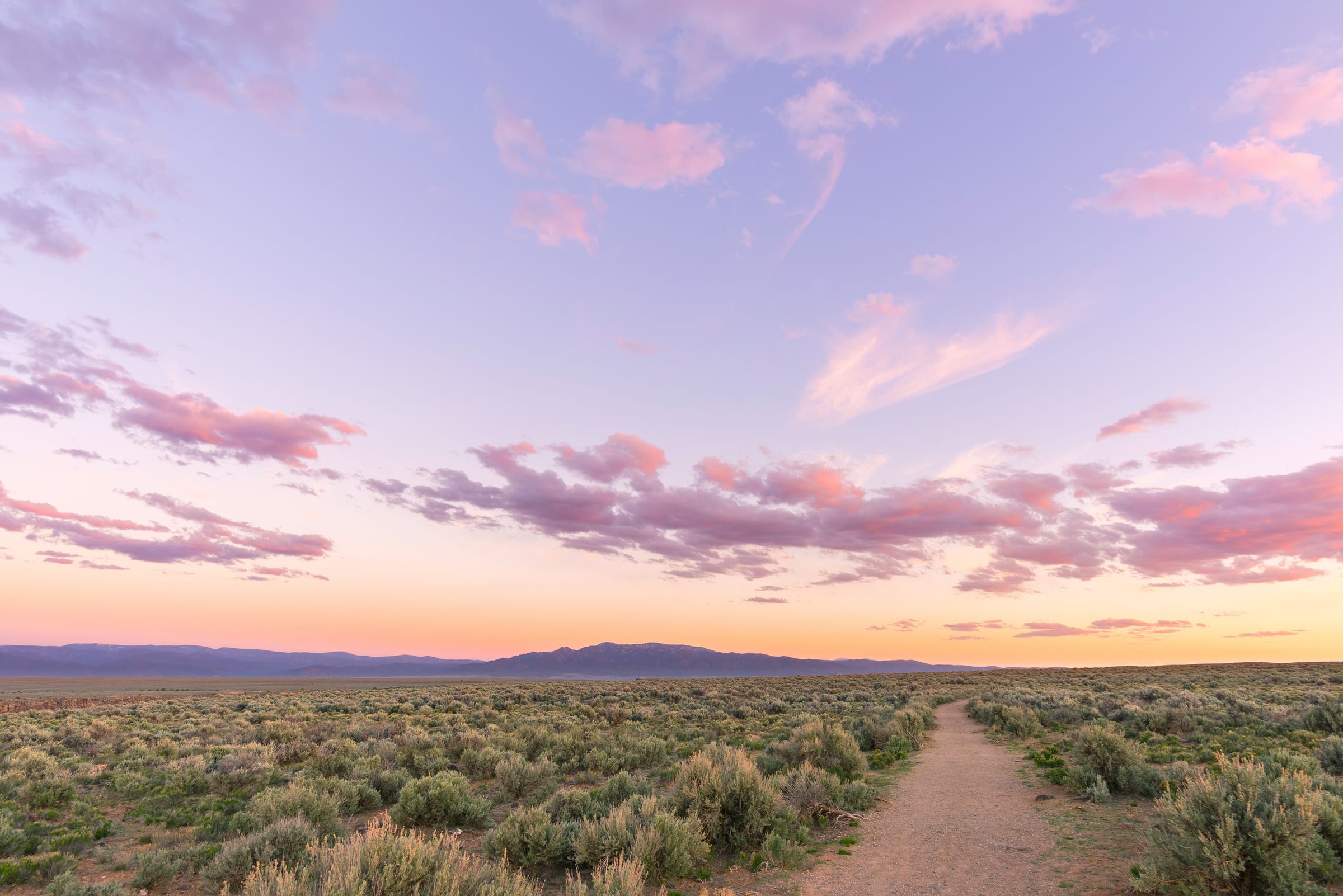 A sagebrush trail leading toward distant mountains at dusk on the Taos Mesa, New Mexico